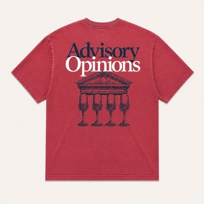Advisory Opinions Heavy Faded Tee
