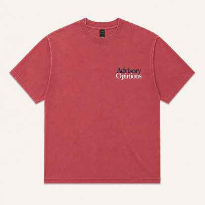 Advisory Opinions Heavy Faded Tee